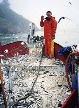 
                    Ernie waves as the fish roll in.
                                            (Krissy Clark)
                                        