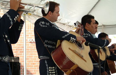 John Contreras plays the guitarron, a stringed bass guitar that keeps the beat in modern mariachi music.Contreras is trying to revive use of some older mariachi instruments in his group, like the smaller guitarra de golpe. Many mariachi groups also have a harp player. Guitars are the rhythm section in mariachi bands.
(Julia Barton)