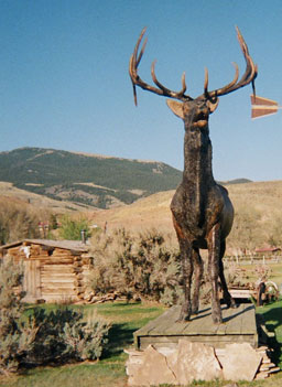 
                    Dubois, Wyo., is known for its huge animal sculptures.
                                            (Barrett Golding)
                                        