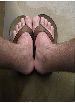 
                    The Cawood Feet
                                            (Richard Cawood)
                                        