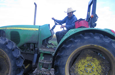 
                    The crew boss for the workers, who spend 10 hours a day, six days a week, in the fields.
                                            (Kelly McEvers)
                                        
