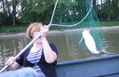 
                    Reporter Kelly McEvers catches an Asian silverhead carp that minutes earlier was flying through the air.
                                            (Kelly McEvers)
                                        