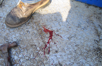 
                    Blood left on the bottom of the boat after a fish is clubbed to death with a hammer (pictured) and thrown back into the river.
                                            (Kelly McEvers)
                                        