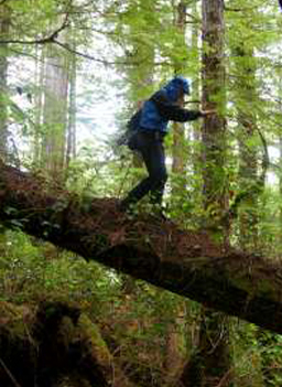 
                    Log walking.
                                            (Erin McKittrick and Bretwood Higman)
                                        