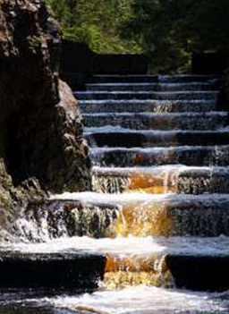 
                    A salmon ladder.
                                            (Erin McKittrick and Bretwood Higman)
                                        