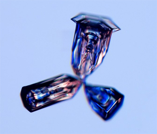 
                    A bullet rosette is a random cluster of single ice crystals all together. When the different pieces form separate columns they become a bullet rosette.
                                            (Kenneth Libbrecht)
                                        