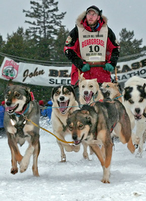 Musher Keith Ali at the starting line on day one of the 2006 Beargrease Sled Dog Race. The event is named for John Beargrease, a 19th-century Chippewa man who delivered mail by dog sled along the Minnesota North Shore.
(Kit Larson)