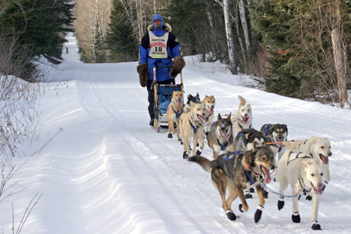
                    Mark Black on the second day of the 2006 Beargrease Race. Black was the winner of the 2005 race.
                                            (Kit Larson)
                                        