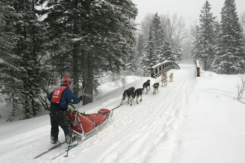 Mark Black crossing Moos Creek the morning of the second day of the 2005 race, which he won. Stories of mushers having close encounters with wildlife abound. Official Beargrease photographer Gary Meinz says he's heard about packs of wolves running alongside contestants.
(Kit Larson)