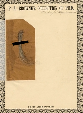 
                    A lock of hair from James Buchanan, the 15th president of the United States, and the only one never to have married.
                                            (Courtesy the Academy of Natural Sciences of Philadelphia)
                                        