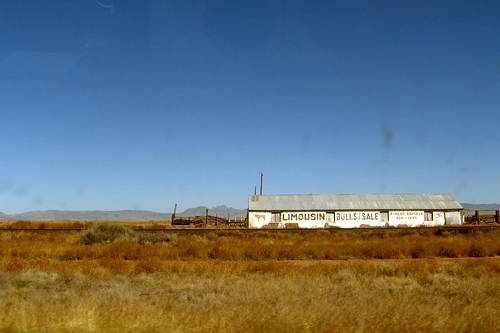 
                    You are now leaving Marfa, Texas.
                                            (Neille Ilel)
                                        