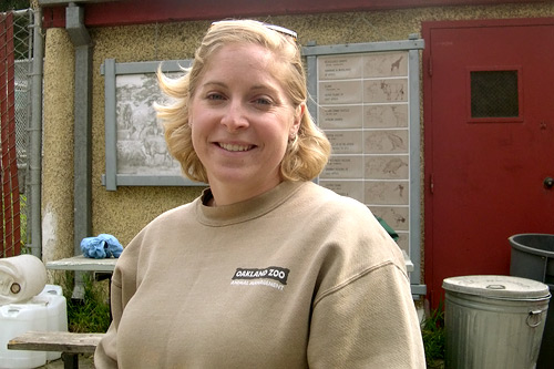 
                    Oakland zoo keeper Amy Phelps came up with the idea for a custom-made coat for Tiki after going to a saddlery and tack convention and seeing horse blankets.
                                            (Courtesy Oakland Zoo)
                                        