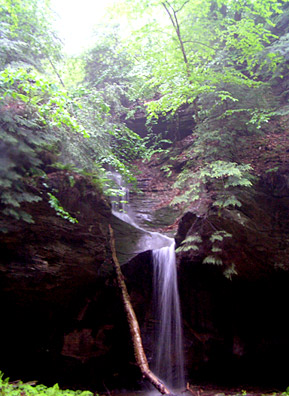 
                    Stebbins Gulch cuts though layers of sandstone and shale. This side of the falls cuts though Berea sandstone. In dry conditions it barely trickles. Petruschke finds it especially beautiful in the rain.
                                            (Haans Petruschke)
                                        