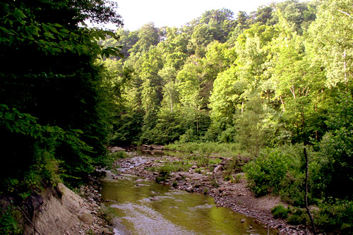 The East Branch of the Chagrin River is a state scenic river. The name Chagrin comes from the local Native American word "Sha-ga-rin", or "clear water." The name is appropriate, given the East Branch River's clear flowing nature. It is largely untouched by human activity in many places, although it runs through Cleveland suburbs.
(Haans Petruschke)
