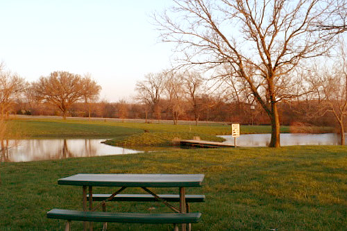 
                    The ponds behind the pasture are a safe place to escape if the fire gets out of control.
                                            (Sylvia Gross)
                                        