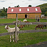 An idyllic setting for a sanctuary farm