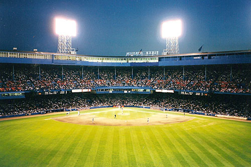 
                    The old Tiger Stadium. For the past 19 years, Davids has refused to give up on her quest to save the stadium from demolition. She says she holds too many memories of the place to let it go.
                                            (Judy Davids)
                                        