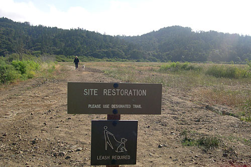 
                    Locals like to walk the trail that borders the old dairy. Some worry that it will be overrun by tourists once the wetlands are restored, and if the National Park Service promotes it as a place to visit.
                                            (Krissy Clark)
                                        