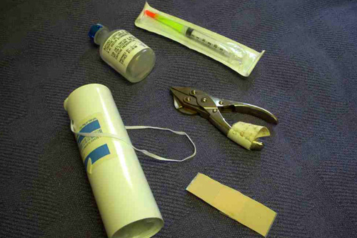
                    The basic tools of the fish hook removal trade.
                                            (Jim Gates)
                                        