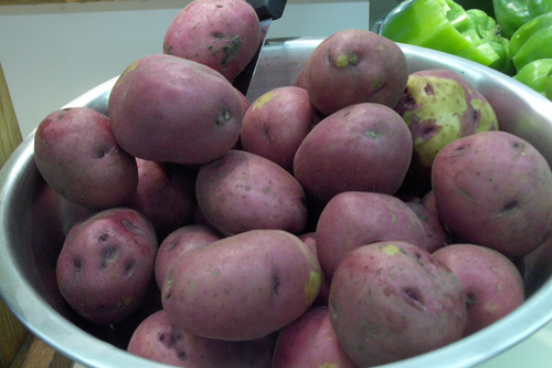 
                    Potatoes for hash browns or french fries.
                                            (Marc Sanchez)
                                        