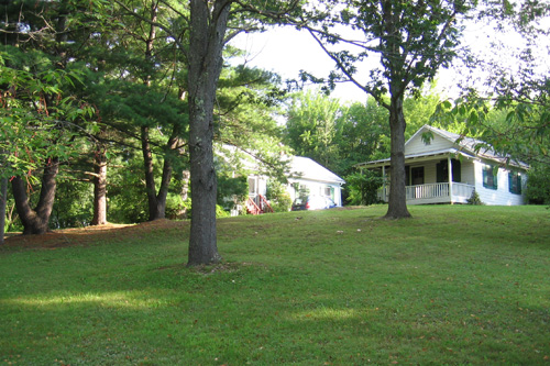 
                    Looking up the hill at the cottages.
                                            (Marie Eady)
                                        