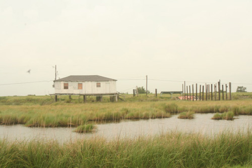 
                    Bayou home.
                                            (Daniel May)
                                        
