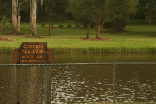 
                    Beware of Gators.
                                            (Daniel May)
                                        