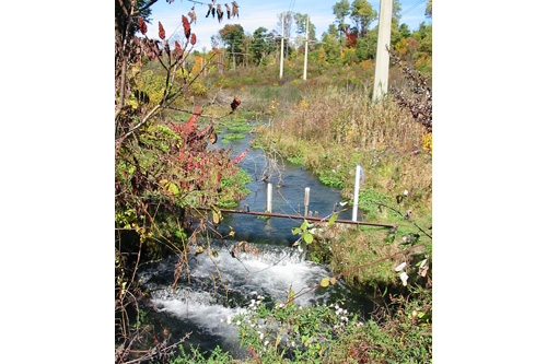 
                    A minor rapid has since formed near the power plant in Roseton, New York.
                                            (Rick Karr)
                                        