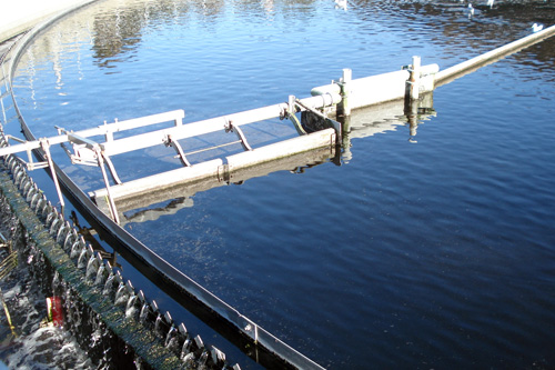 
                    This is where the bacteria eat maybe half of the stuff left in the water.  After this, it gets shocked with chlorine and sent out into Puget Sound.
                                            (Joshua McNichols)
                                        