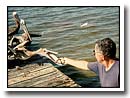 Fishing for Mullet