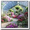 Garfield Park Conservatory